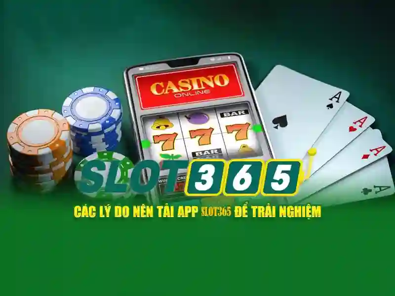 slot365. – Tổng quan, sản phẩm và trải nghiệm chất lượng