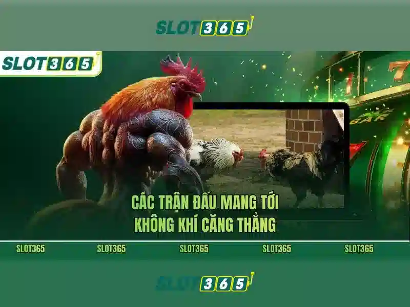 Slot365: Nền tảng slot trực tuyến uy tín và vui nhộn