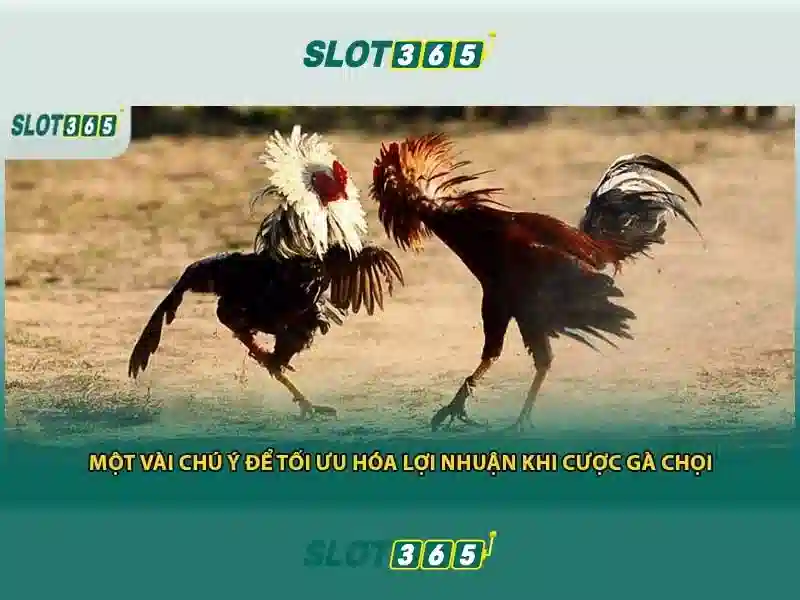 Slot365: Đánh giá và tổng quan về nền tảng slot trực tuyến