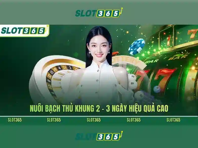 Slot365 - Tổng quan về nền tảng slot trực tuyến nổi bật