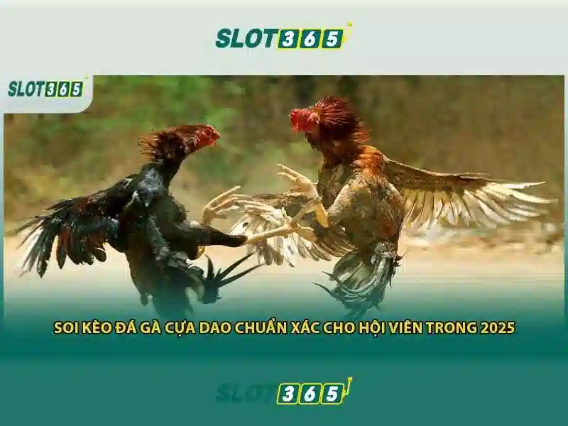 Slot365: Đánh giá và trải nghiệm casino trực tuyến