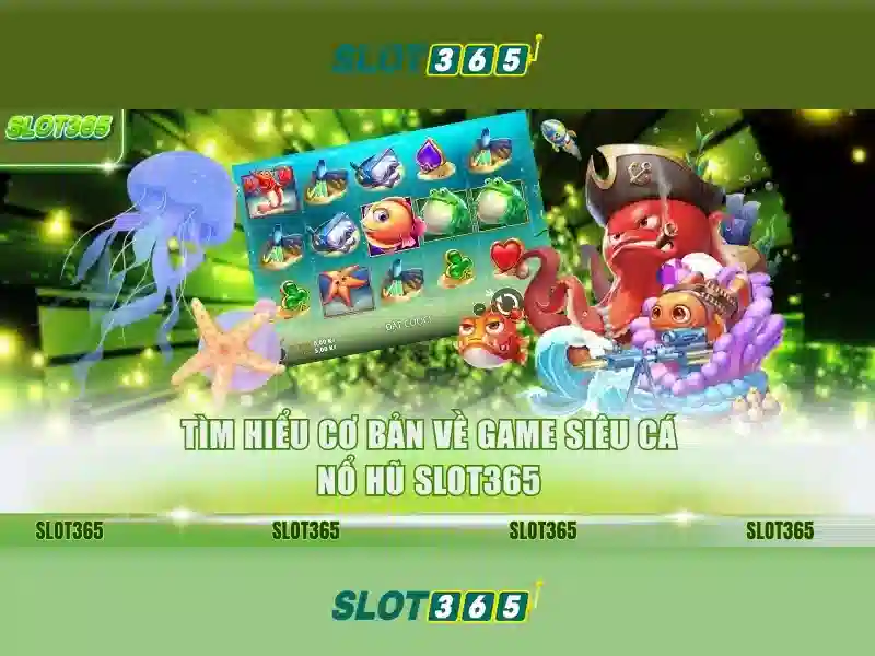 tải slot365 – Tổng quan và trải nghiệm giá trị cốt lõi