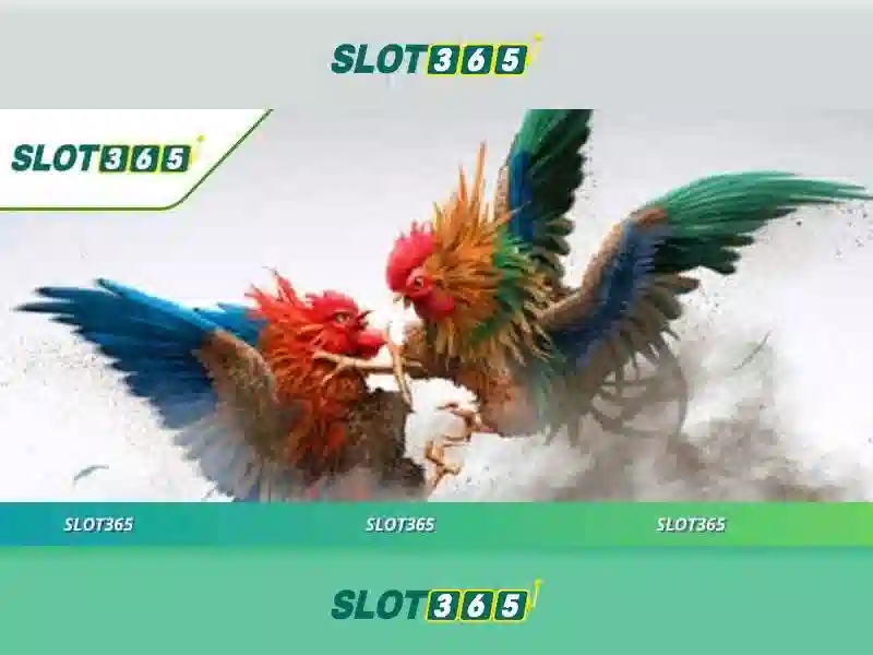 Slot365 là gì và những điều bạn cần biết