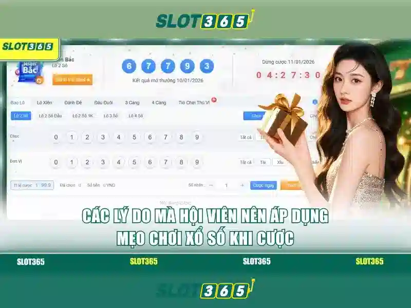 Slot365: Tổng quan về nền tảng máy xèng trực tuyến