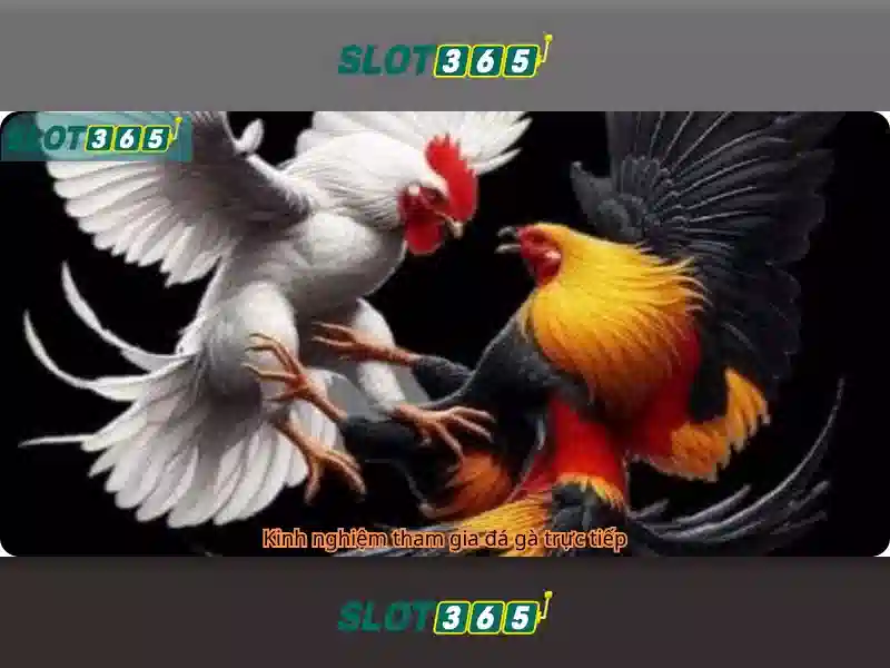 Slot365 - Trải nghiệm slot trực tuyến an toàn và hấp dẫn