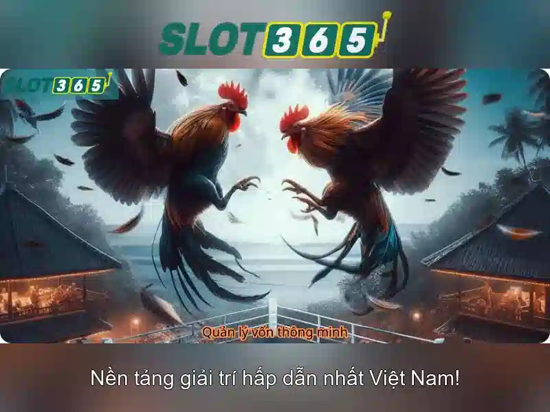Slot365: Khám phá nền tảng slot trực tuyến hàng đầu