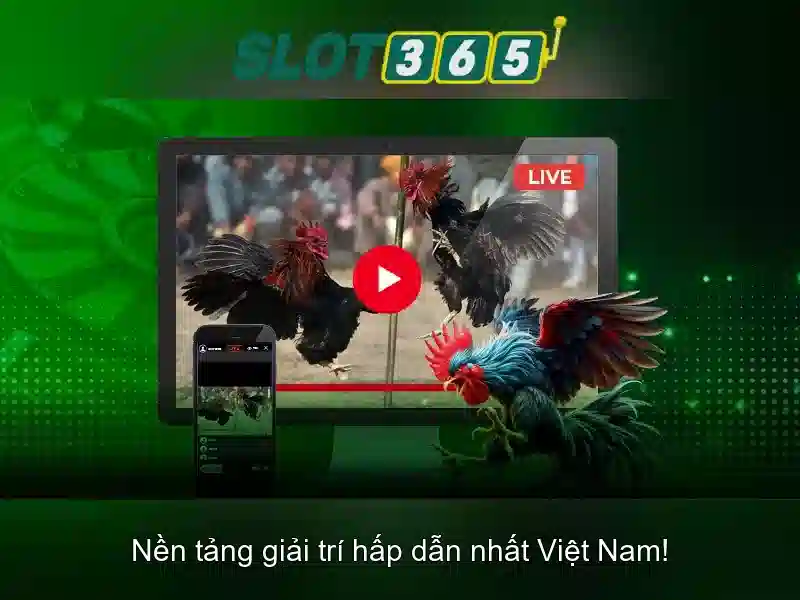 Slot365: Nền tảng trò chơi máy xèng trực tuyến hàng đầu