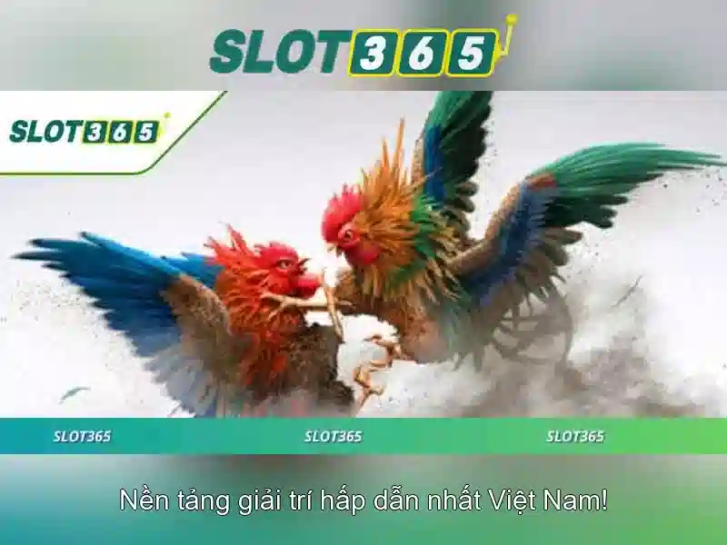 Slot365: Trải nghiệm trò chơi slot trực tuyến đáng tin cậy