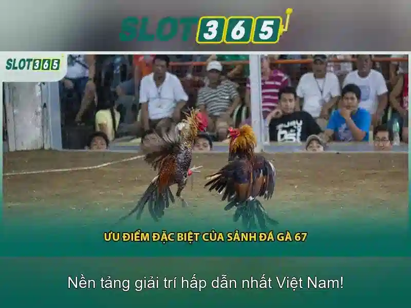 slot365 - Nền tảng chơi slot trực tuyến đáng tin cậy