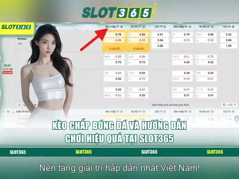 Slot365 - Khám phá nền tảng cá cược trực tuyến