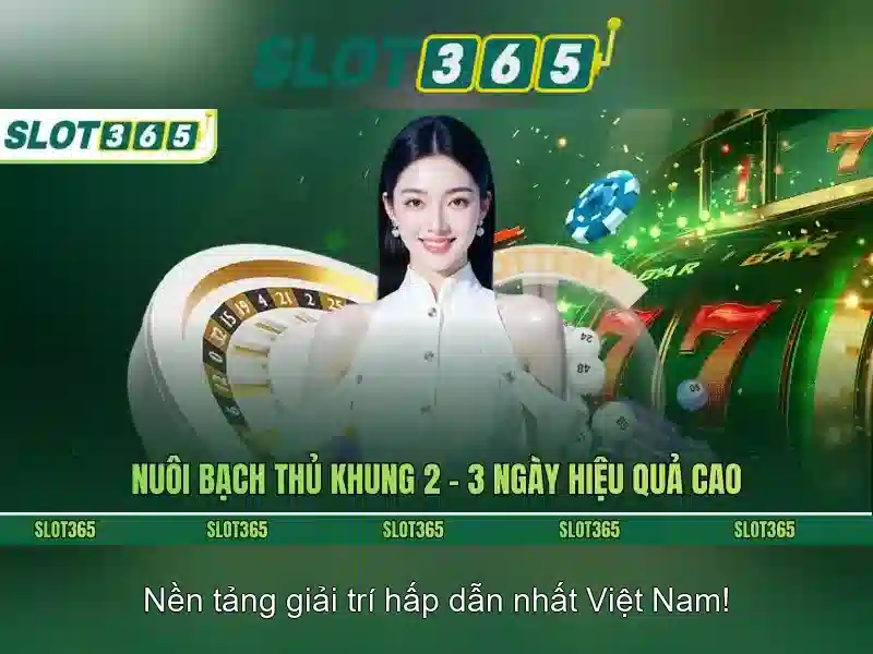 Slot365: Nền tảng slot trực tuyến hàng đầu và trải nghiệm giải trí tối ưu